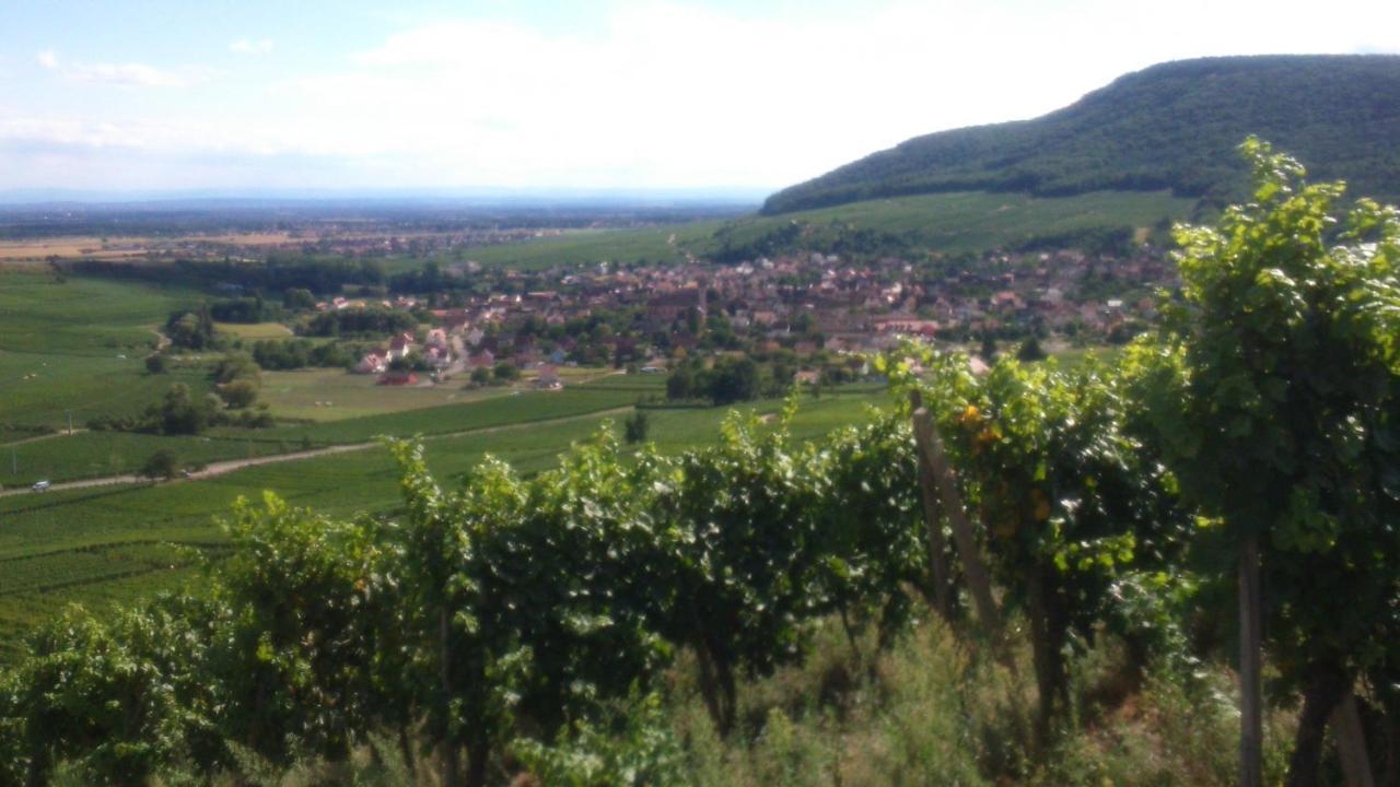 Gites & Chambes D'Hotes Fugler Orschwihr Luaran gambar